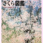 桜作品『中島千波 さくら図鑑』